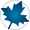 Maple